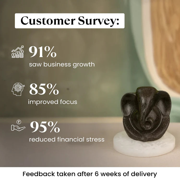 Pyrite Ganesh Ji Idol with FREE Raw Selenite Plate — For Prosperity, Protection & Positive Energy