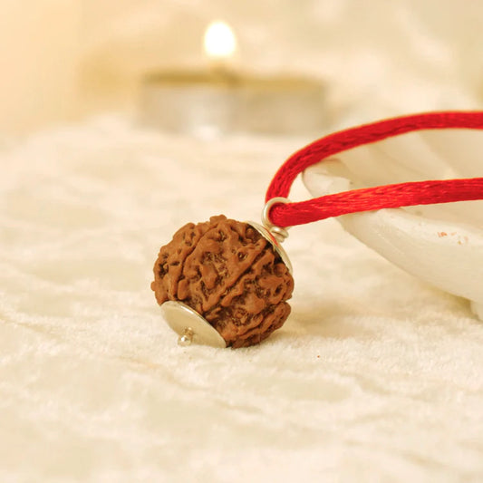 Nepal Origin 6 Mukhi Rudraksha - 18mm - 22mm