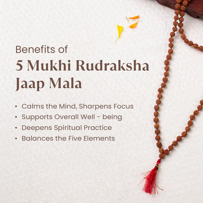 5 Mukhi Rudraksha Mala (7 mm, 108 + 1 Beads) — For Peace, Focus & Spiritual Growth