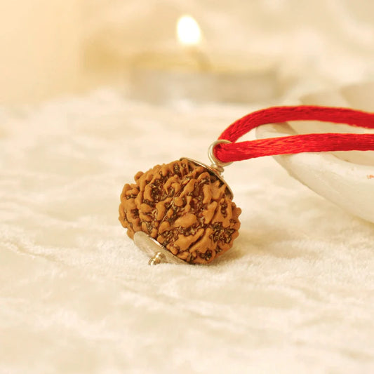 Nepal Origin 8 Mukhi Rudraksha — For Stability, Success & Removal of Obstacles