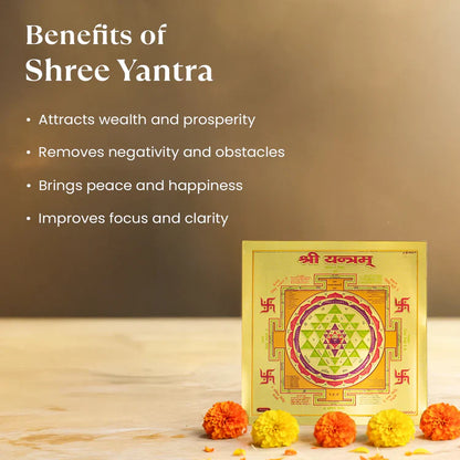 7 Horses on Raw Pyrite Frame with FREE Shree Yantra — Symbol of Speed, Prosperity & Victory