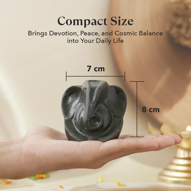 Pyrite Ganesh Ji Idol with FREE Raw Selenite Plate — For Prosperity, Protection & Positive Energy