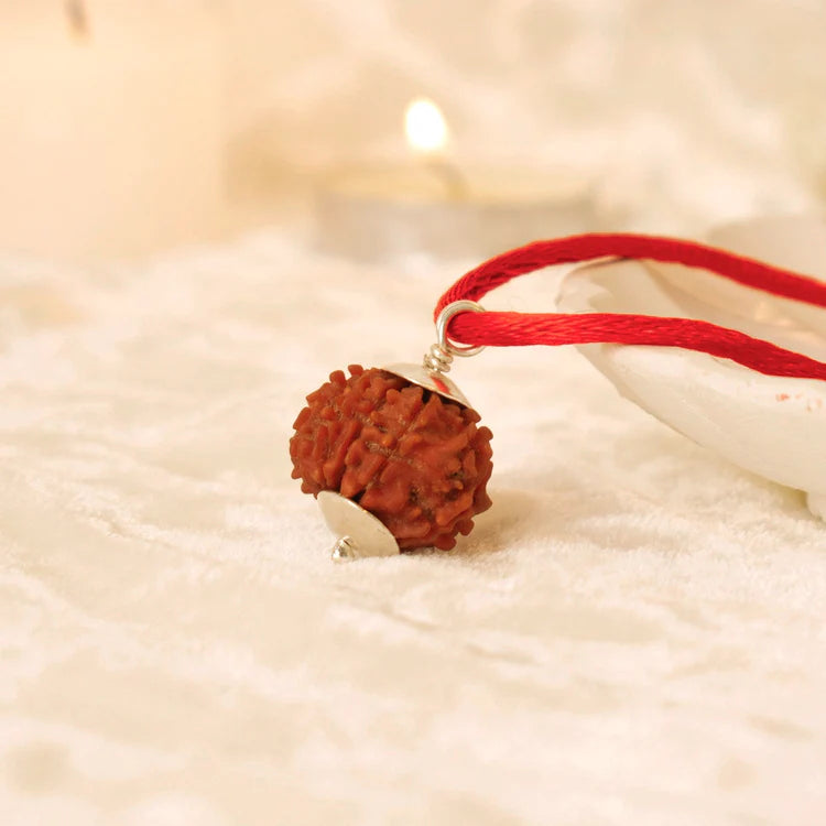 Nepal Origin 5 Mukhi Rudraksha - 18mm - 22mm