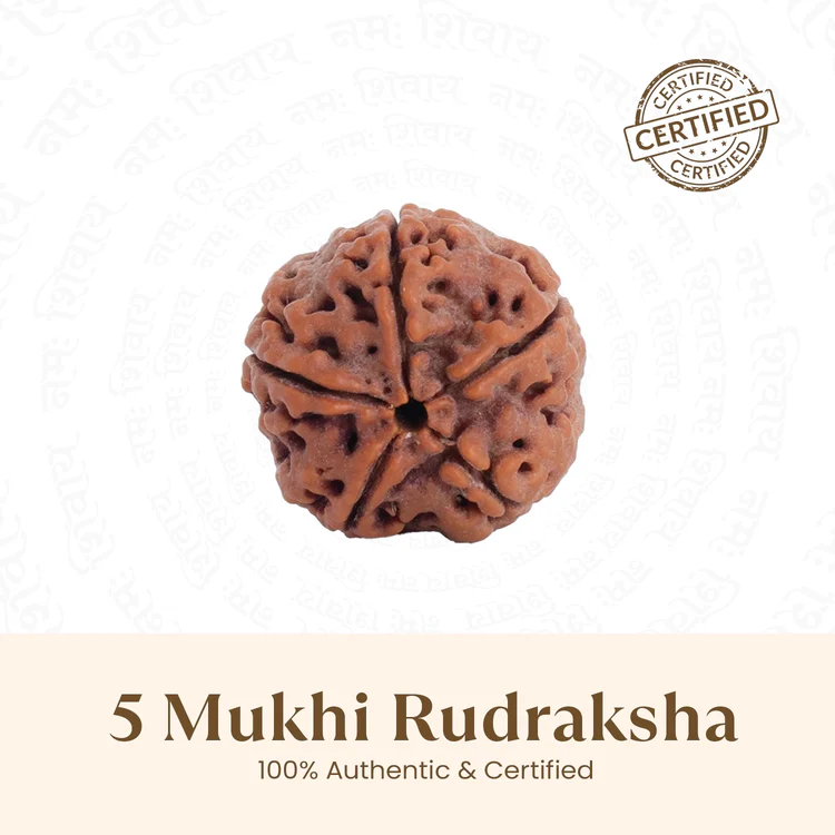 5 Mukhi Rudraksha Bracelet